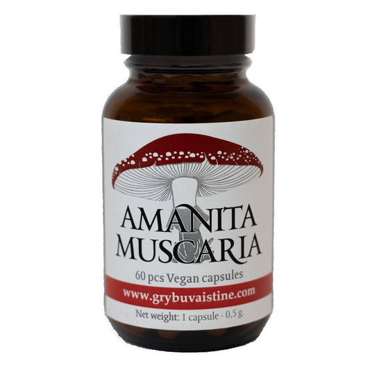 Amanita muscaria capsules, 60 pcs.